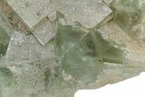 Green Cubic Fluorite Crystal Cluster - Morocco #219270-2